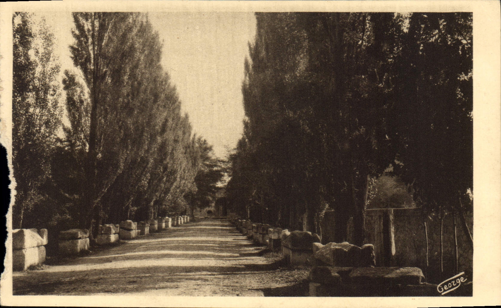 CPA Arles sur Rhone Les Alyscamps Allee des Tombeaux