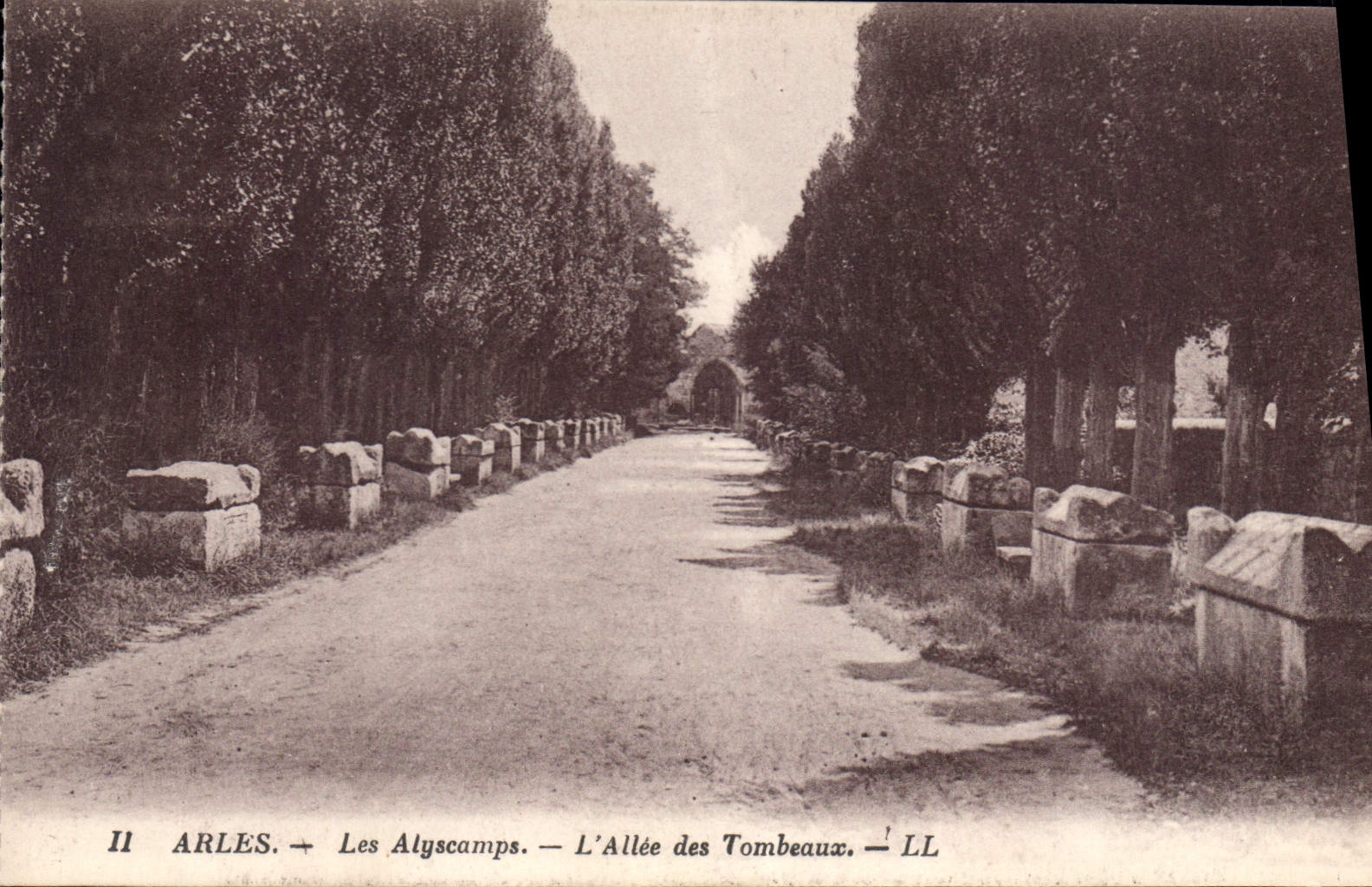 CPA Les Alyscamps - L'Allee des Tombeaux Arles