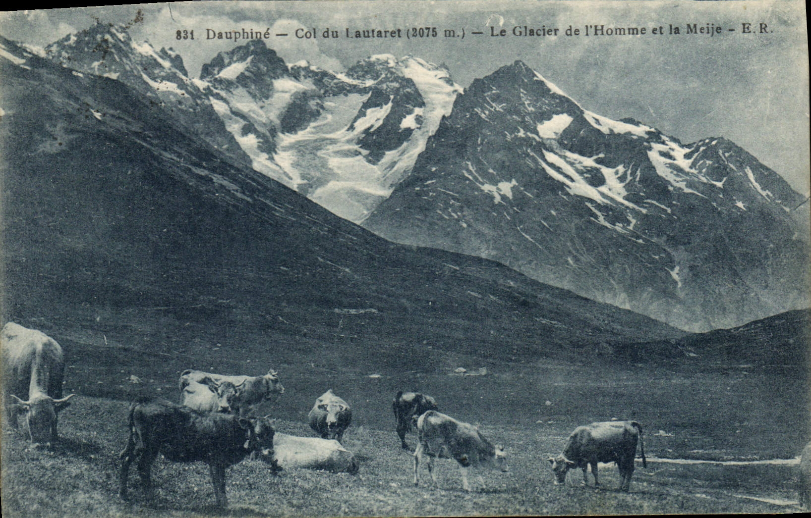 CPA Dauphine Col du l'aufaret Le Glacier de l'Homme et la Meije Vaches