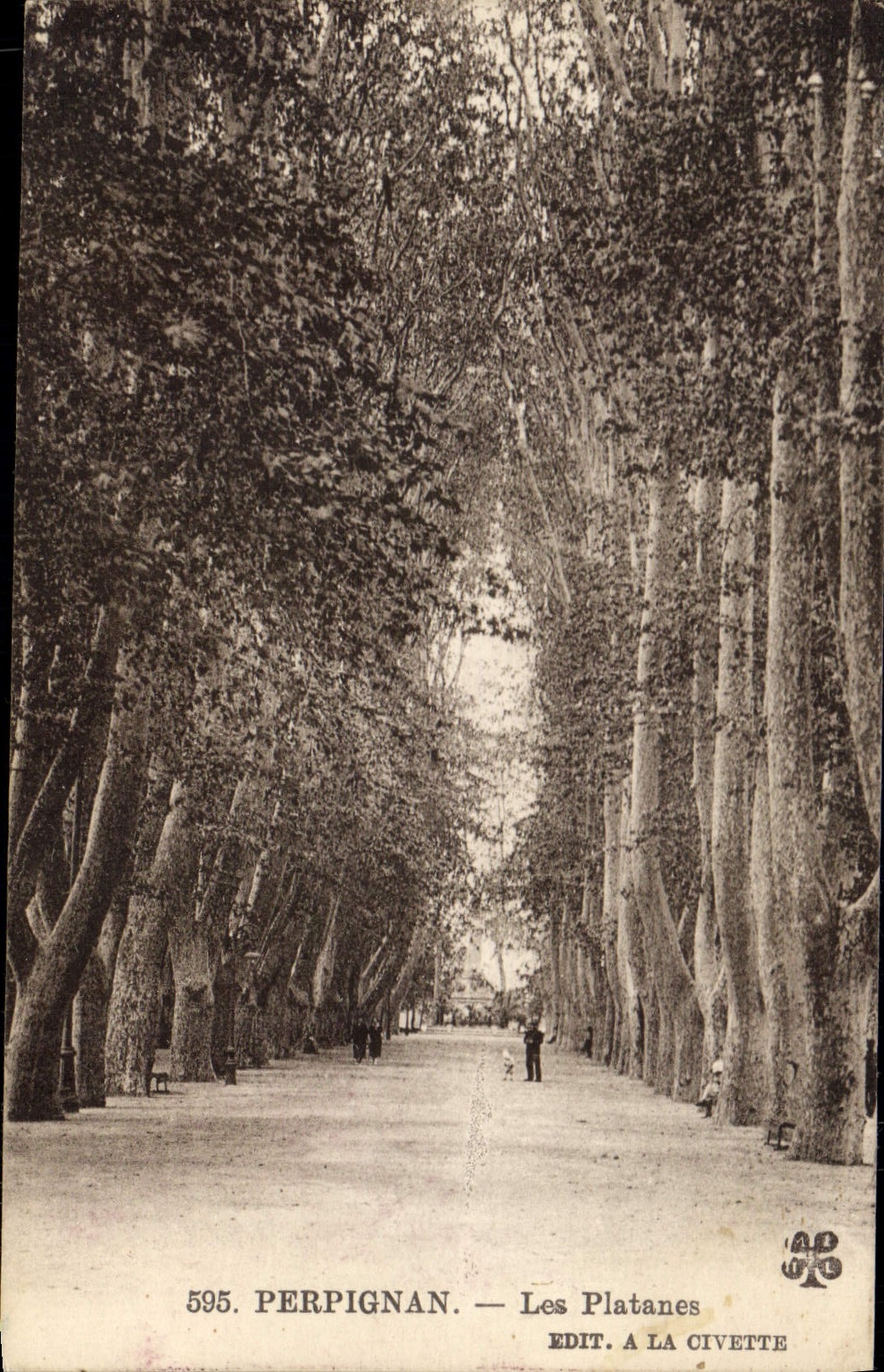 CPA Perpignan Les Platanes