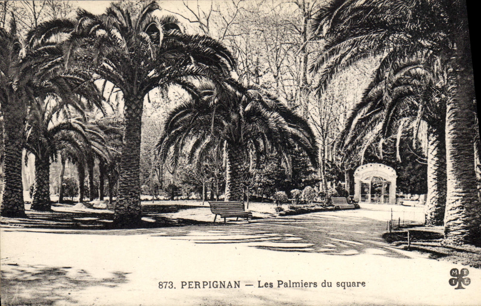 CPA Perpignan Les Palmiers du square