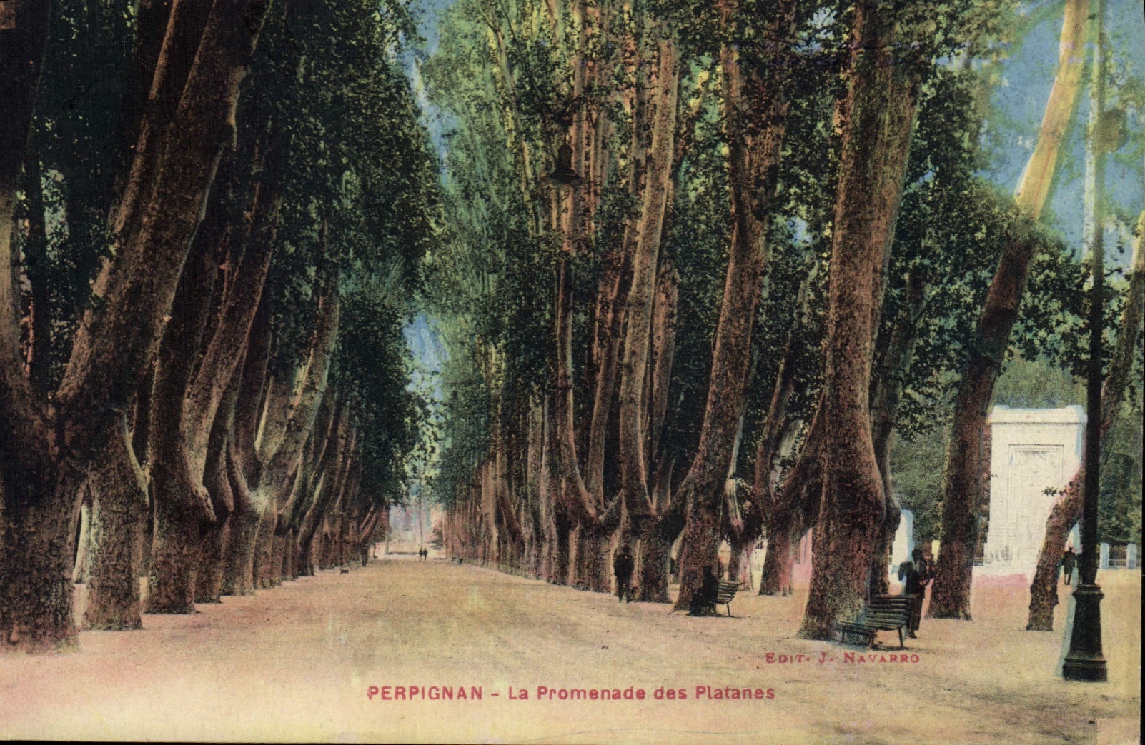 CPA Perpignan La Promenade des Platanes