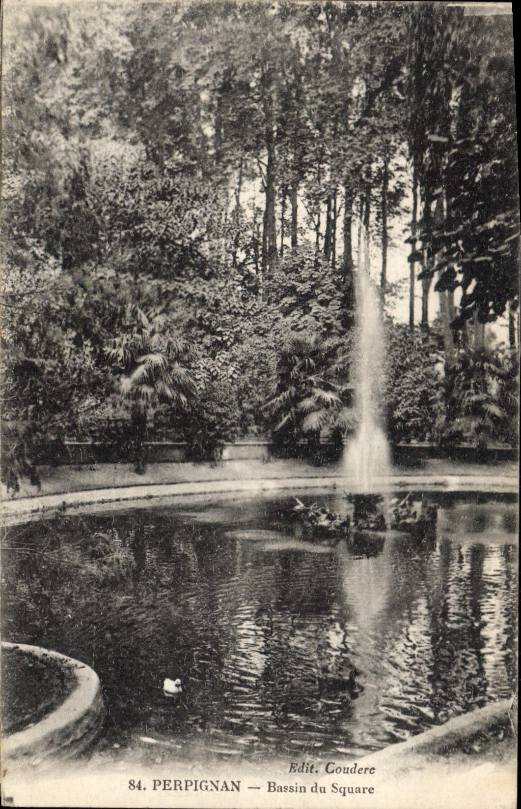 CPA Perpignan Bassin du Square