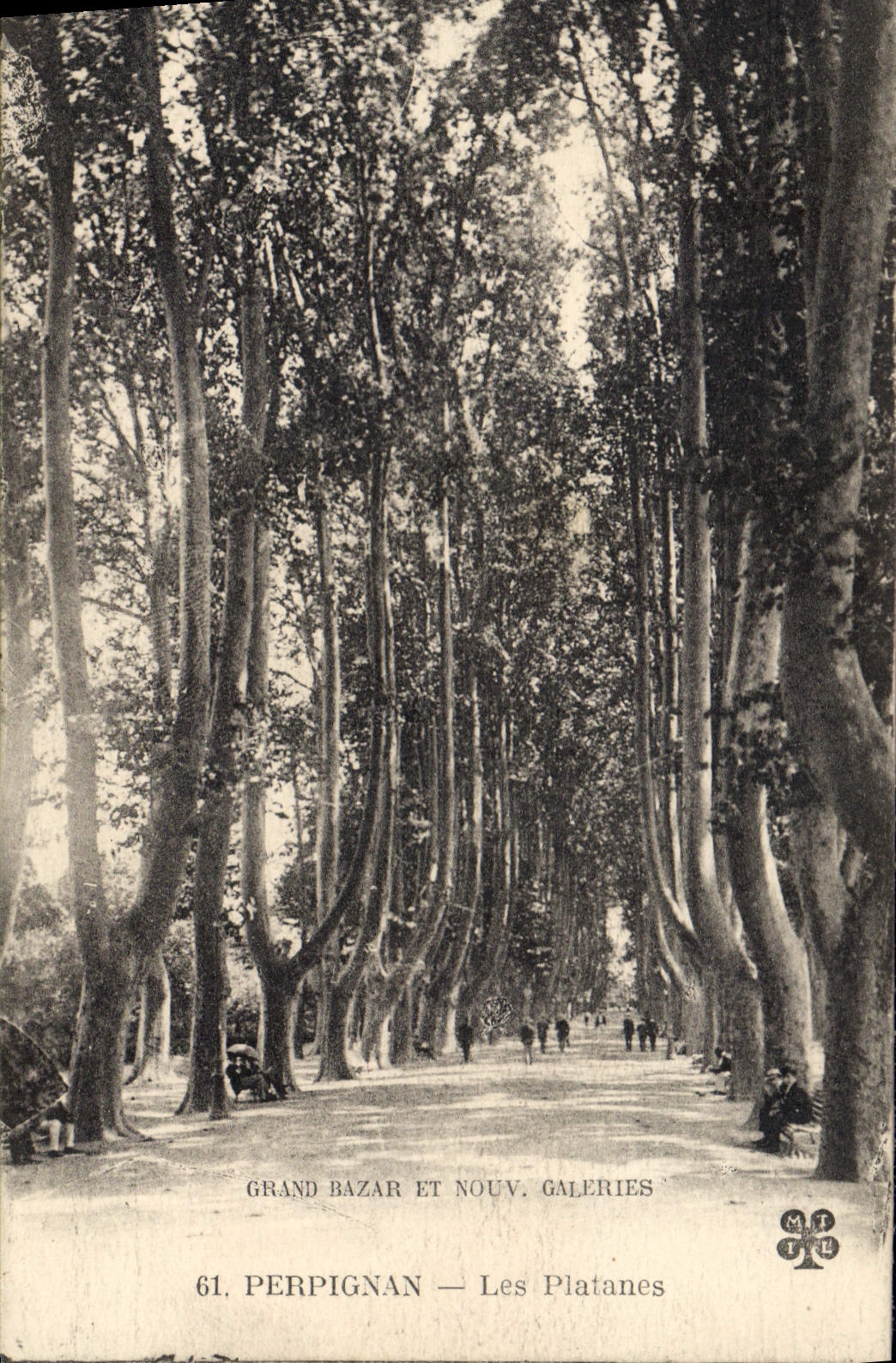 CPA Perpignan Les Platanes