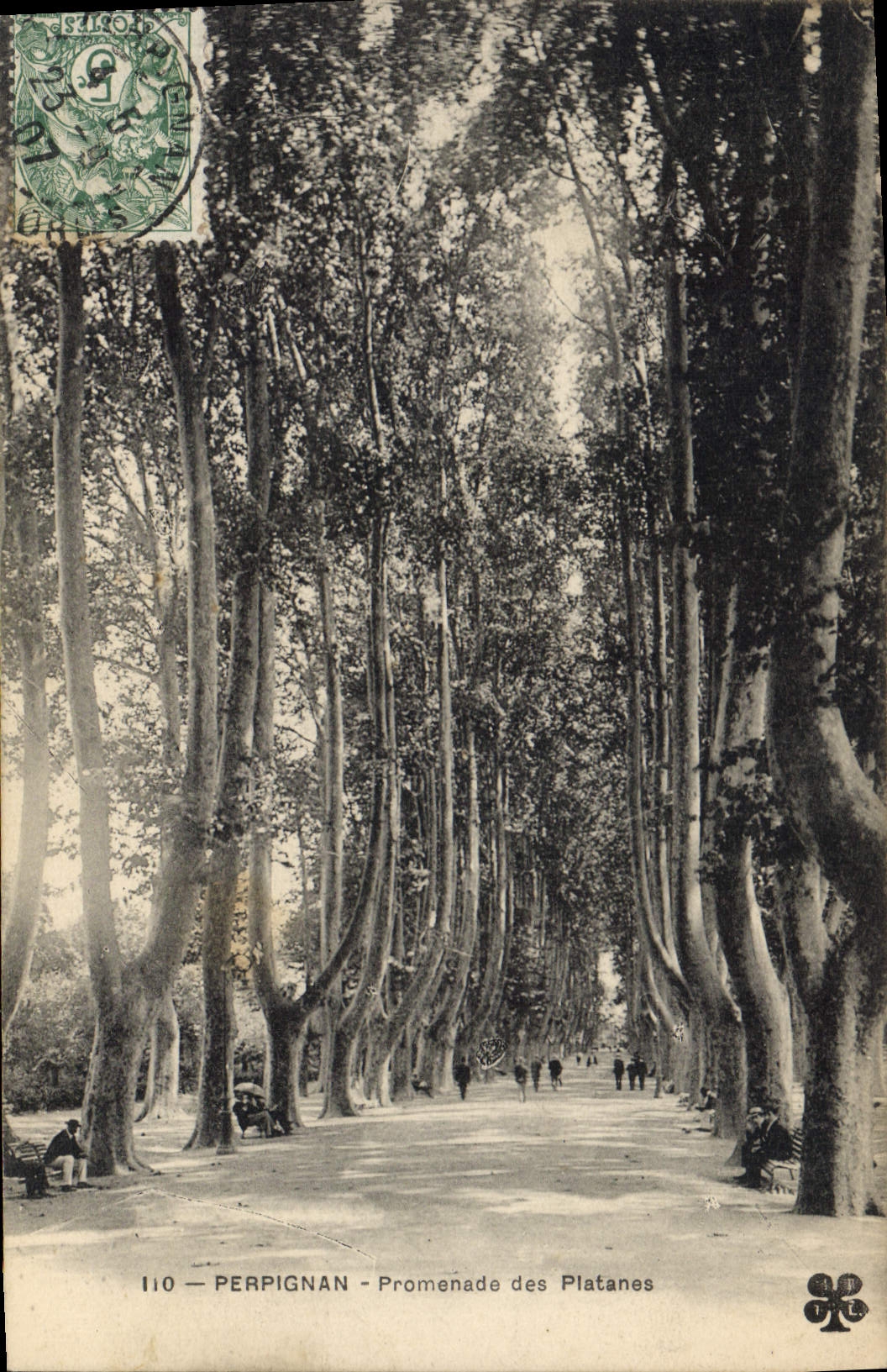CPA Perpignan Promenade des Platanes 