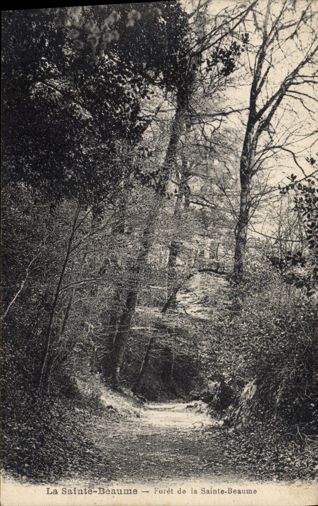 CPA Foret de La Sainte Baume