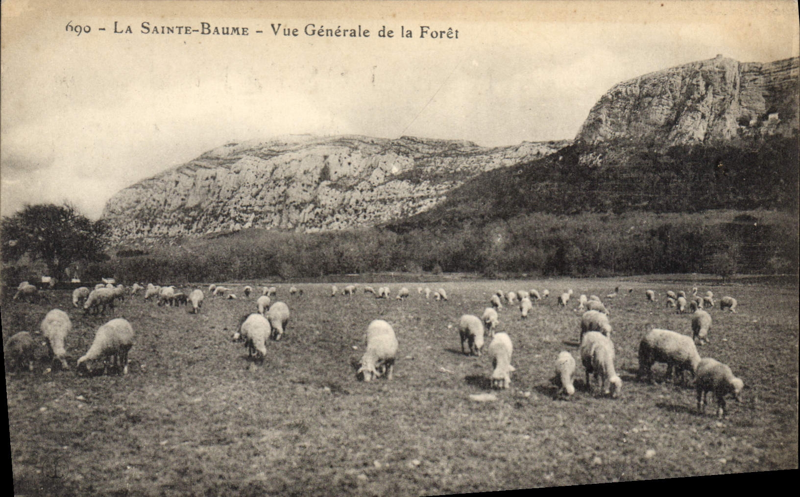 CPA La Sainte Baume Vue generale de la Foret Moutons