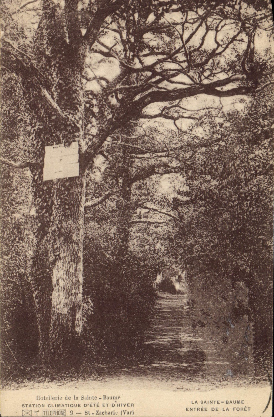 CPA La Sainte Baume Entree de la Foret