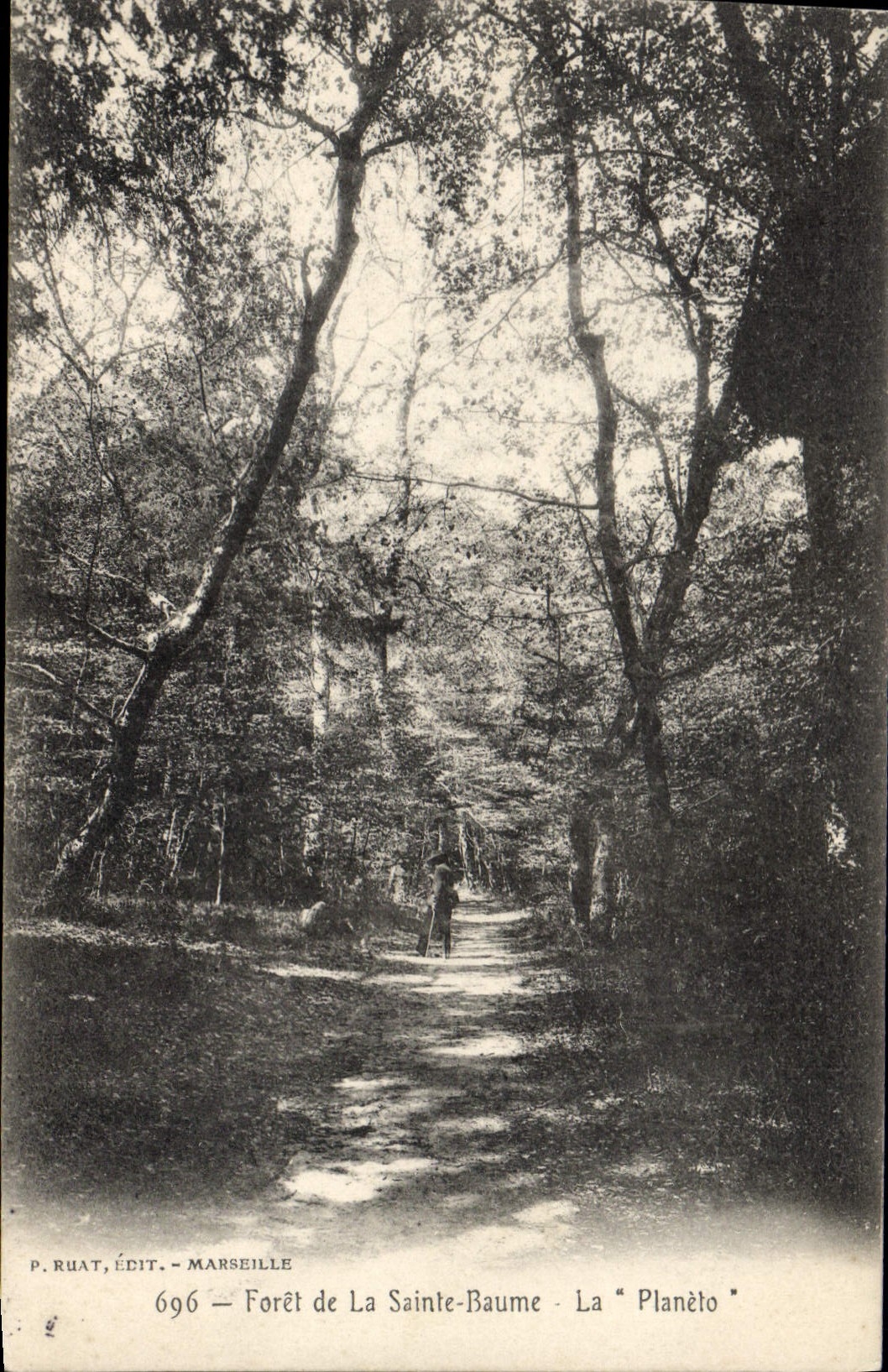 CPA Foret de La Sainte Baume La Planeto