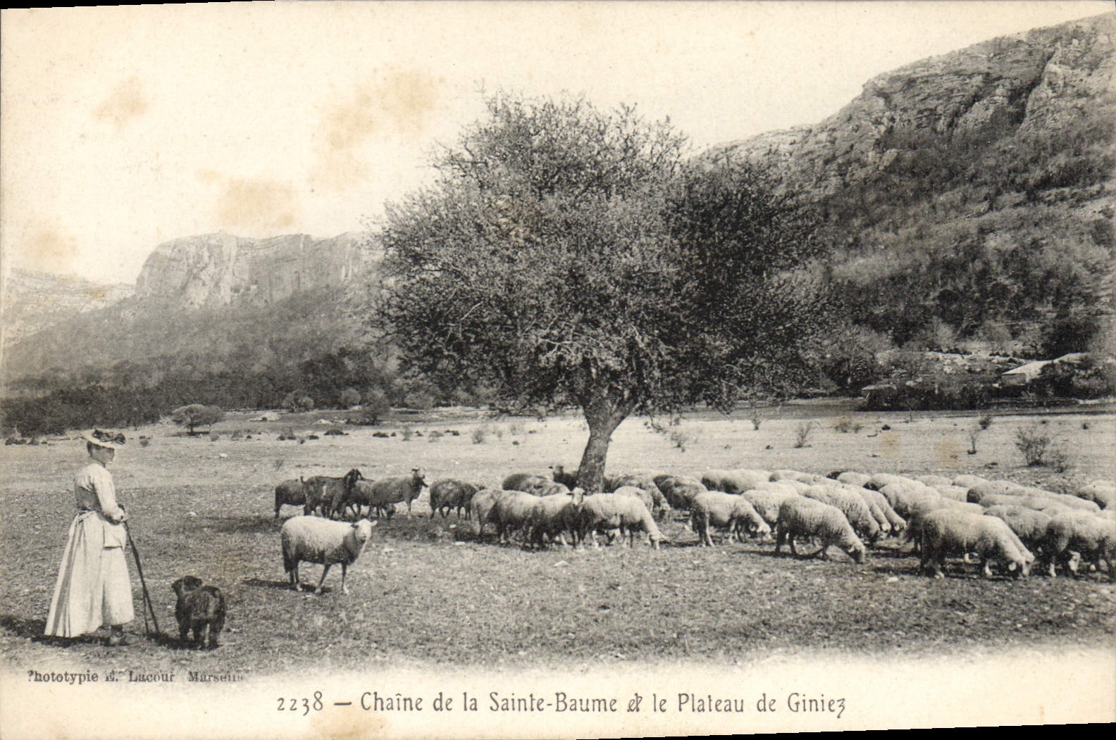 CPA Chaine de la La Sainte Baume et le Plateau du Plan de Giniez
