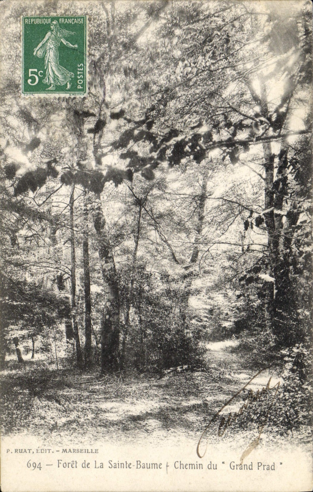 CPA Foret de La Sainte Baume Chemin du Grand Prad