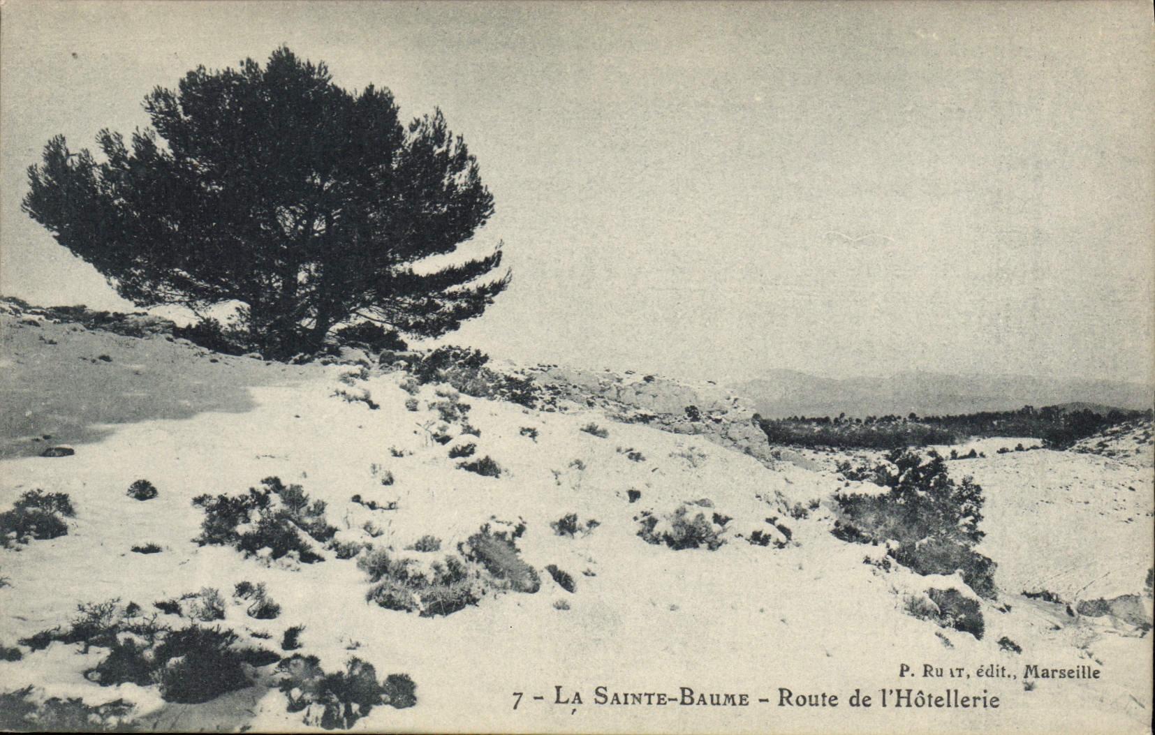 CPA La Sainte Baume Route de l'Hotellerie