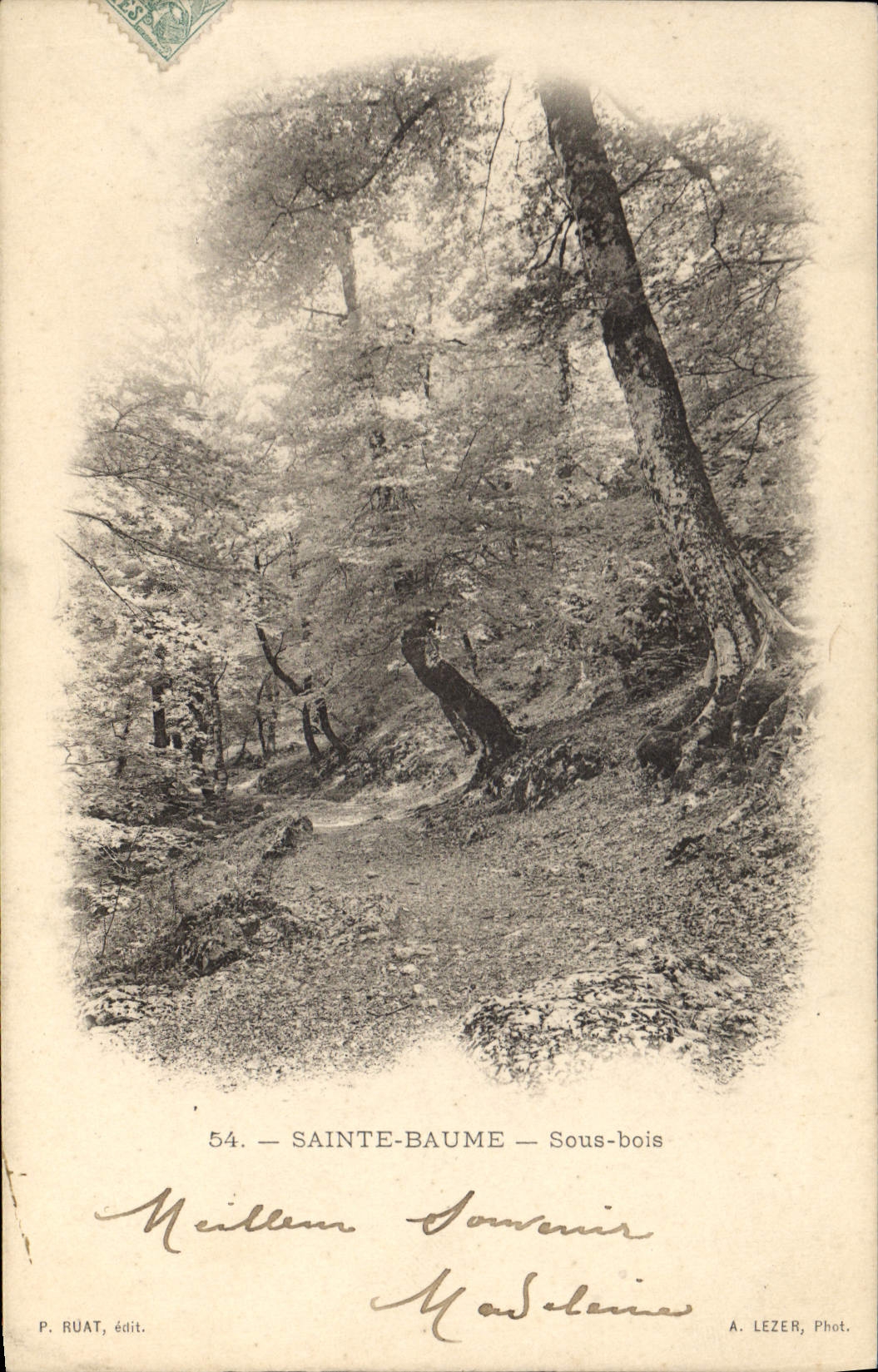 CPA Sainte Baume Sous bois