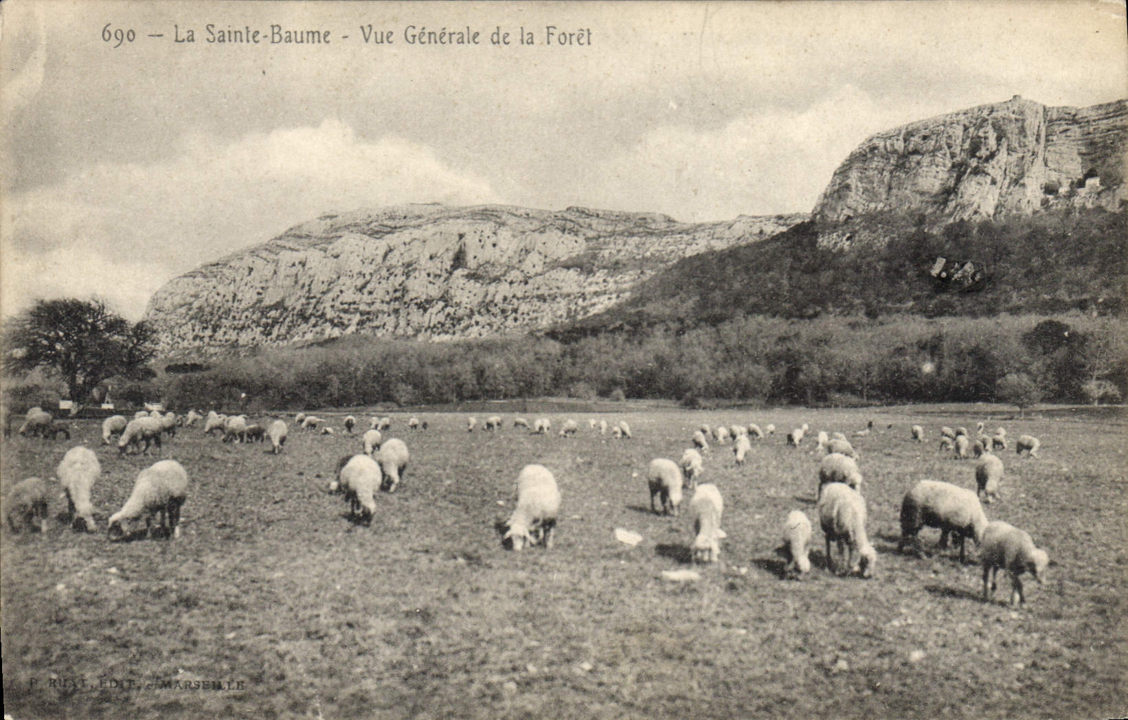 CPA La Sainte Baume Vue generale de la Foret