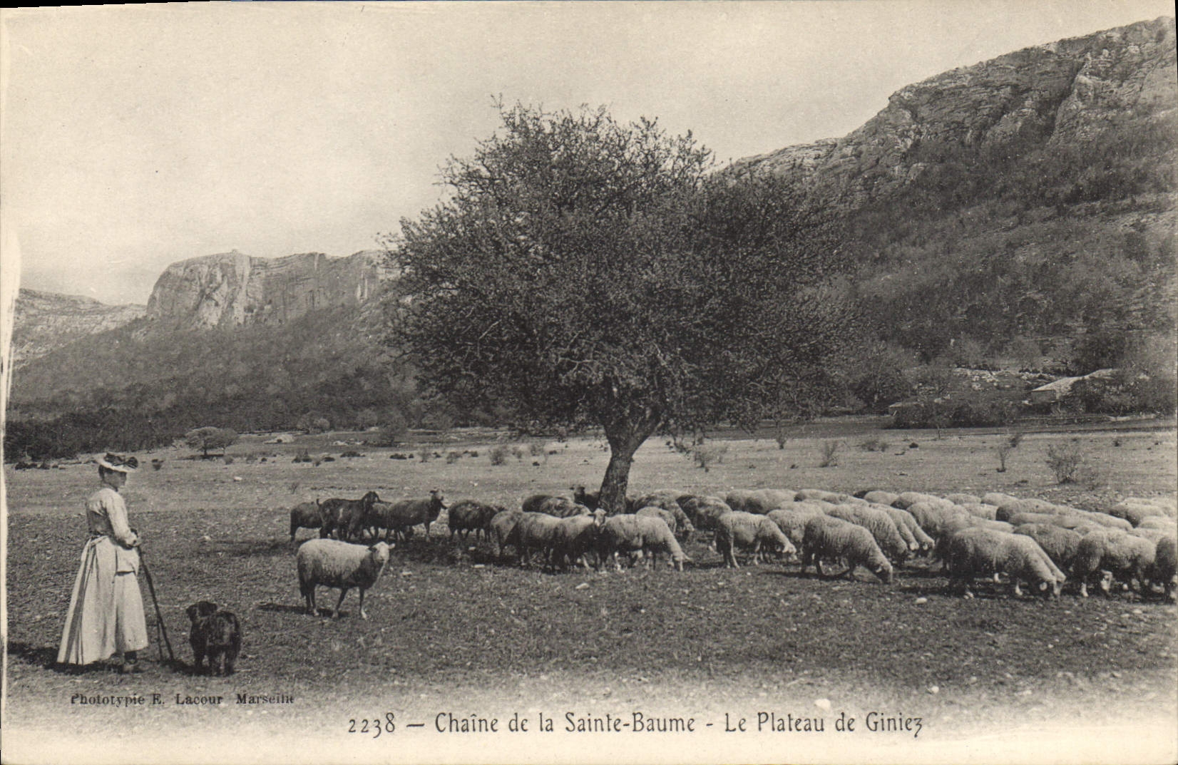 CPA Chaine de La Sainte Baume Le Plateau de Giniez Femme Moutons