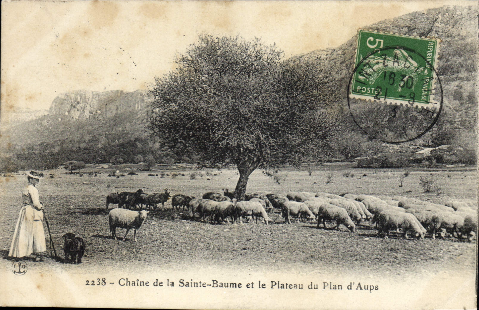 CPA Chaine de La Sainte Baume et le Plateau du Plan d'Aups Femme Moutons