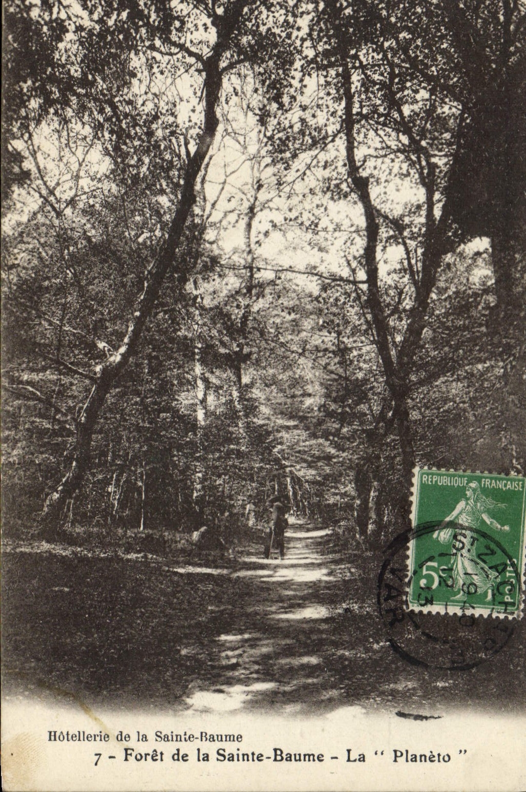 CPA Foret de La Sainte Baume La Planeto