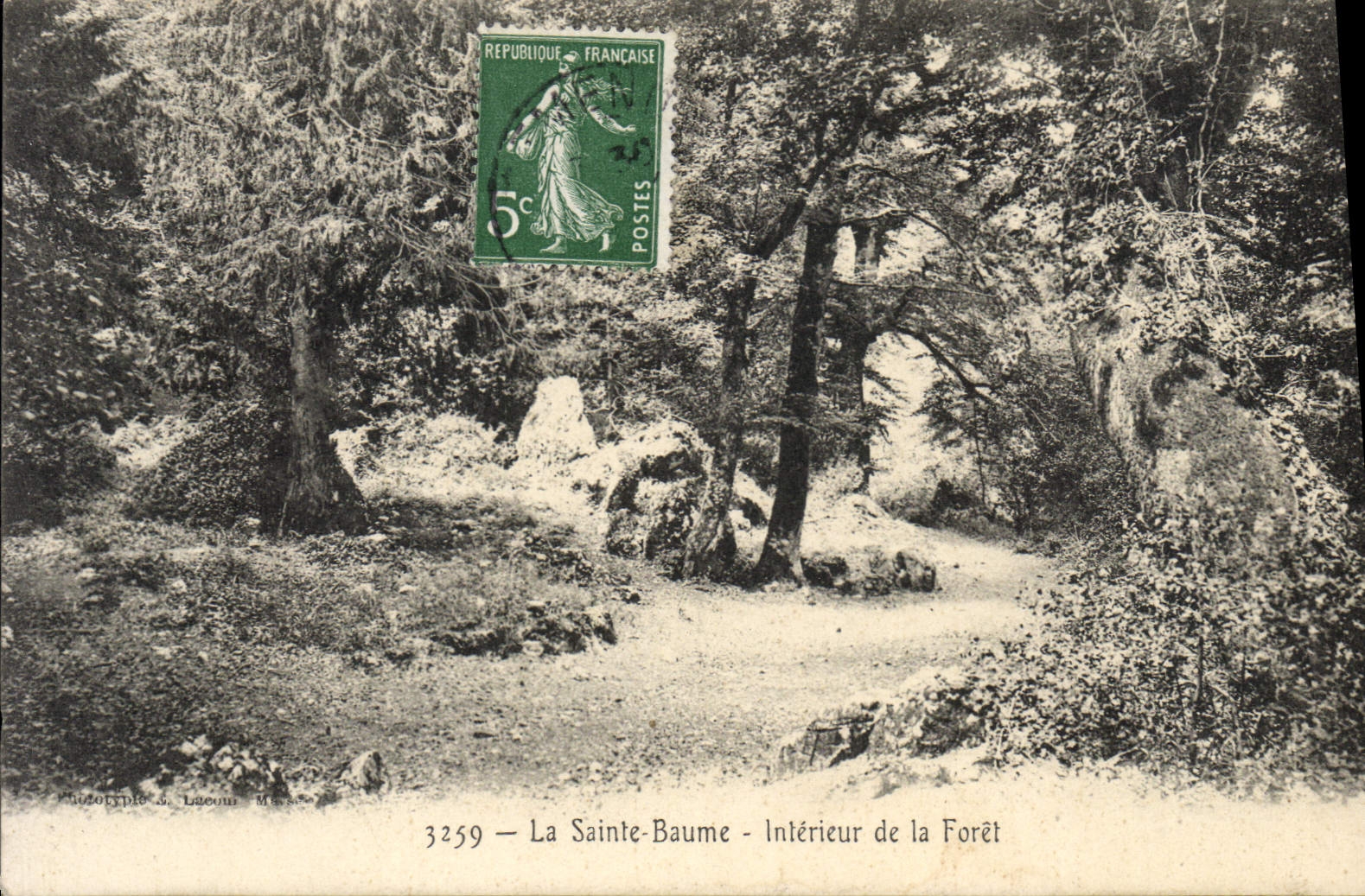 CPA La Sainte Baume Interieur de la Foret