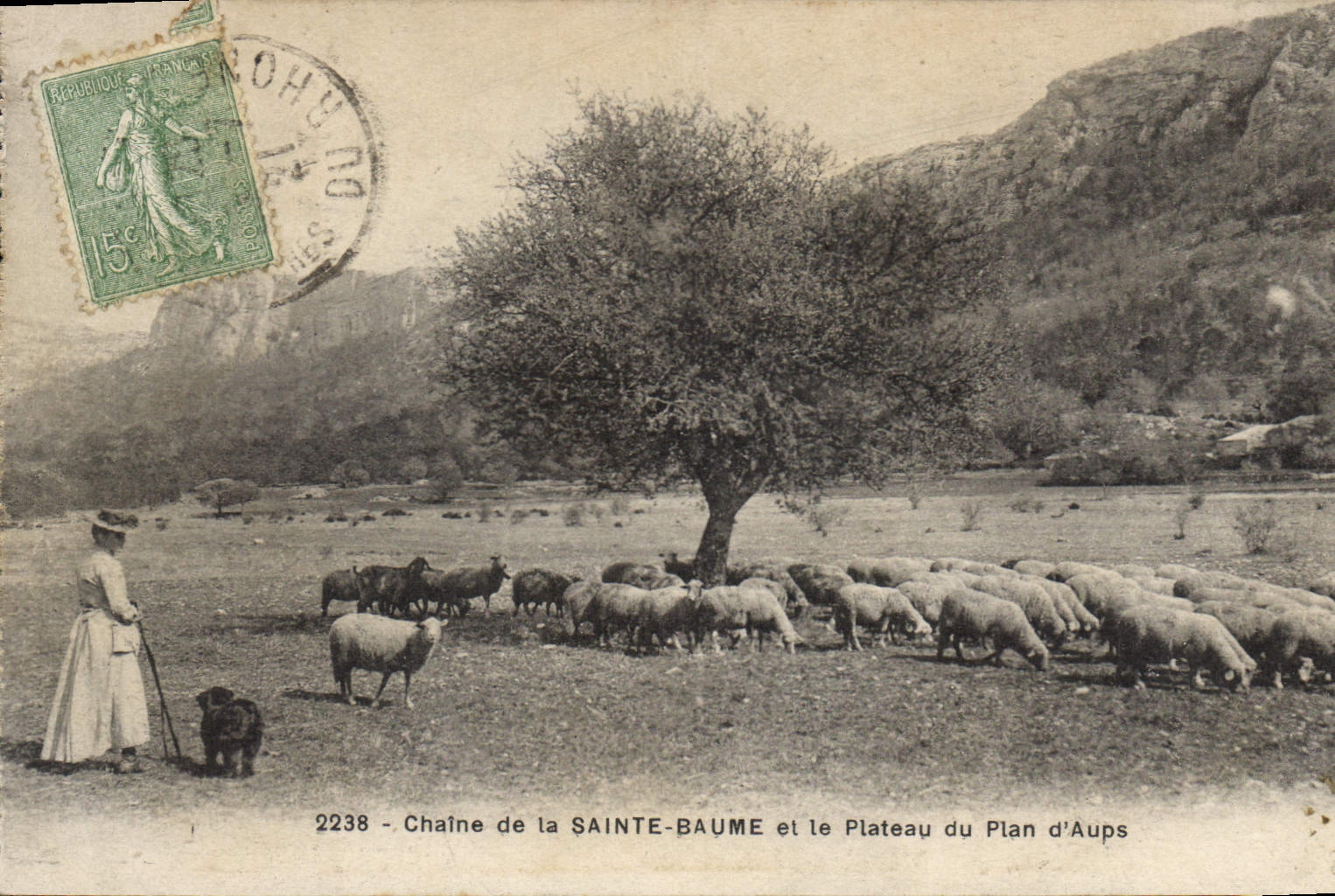 CPA Chaine de La Sainte Baume et le Plateau du Plan d'Aups Femme Moutons