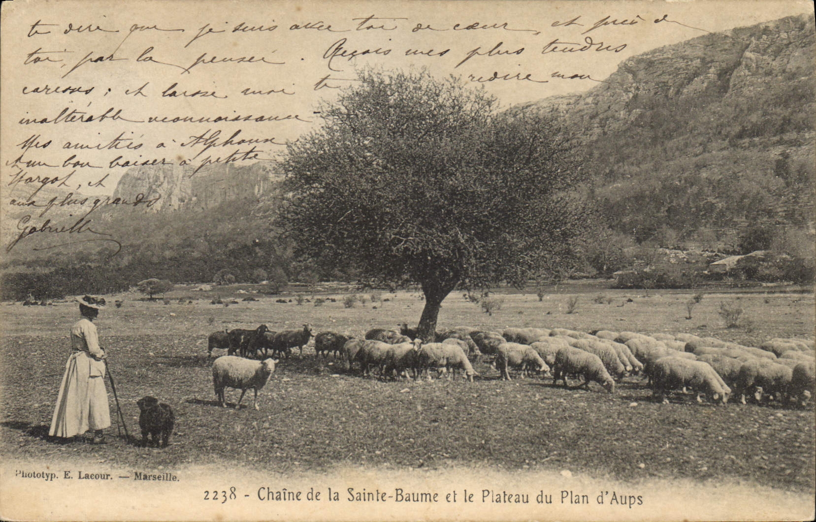 CPA Chaine de La Sainte Baume et le Plateau du Plan d'Aups La Sainte Baume Femme Moutons