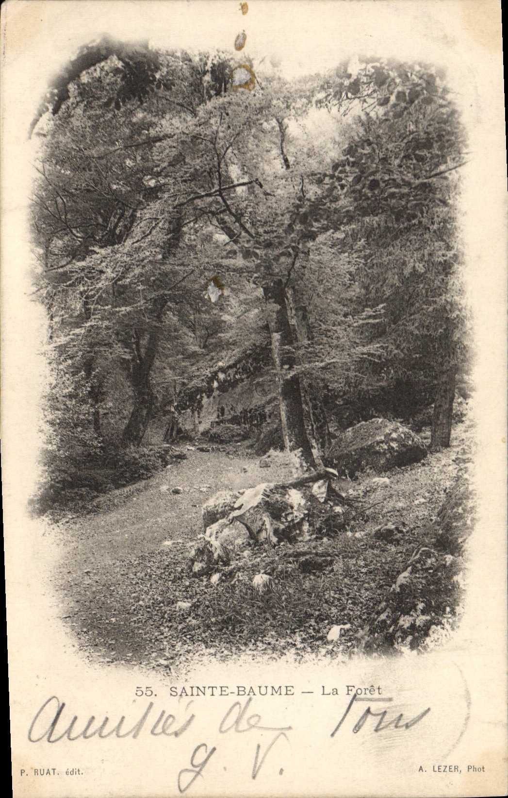 CPA La Sainte Baume La Foret