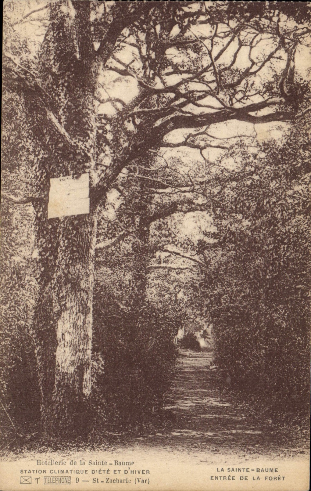 CPA La Sainte Baume Entree de la Foret