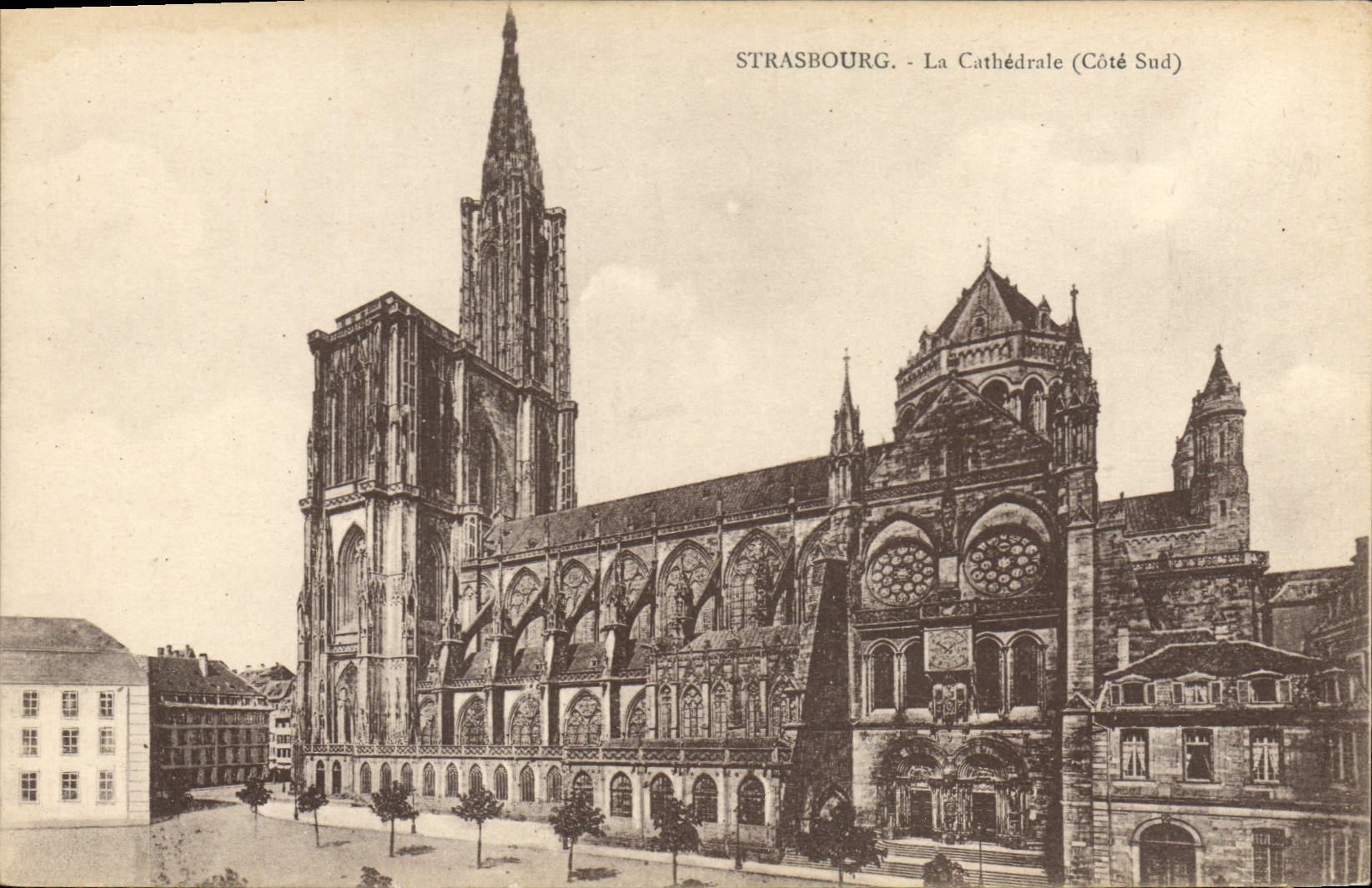 CPA Strasbourg La Cathedrale Cote Snd 