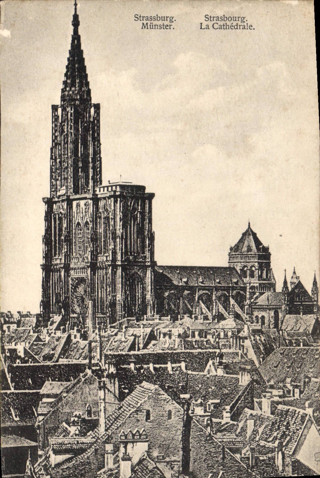 CPA Strasbourg La Cathedrale 