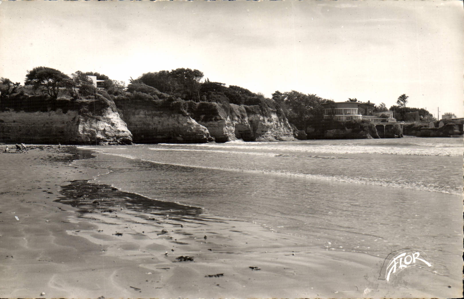 CPA Royan Saint Gorges de Didonne Che Mme Falaises de Vailieres