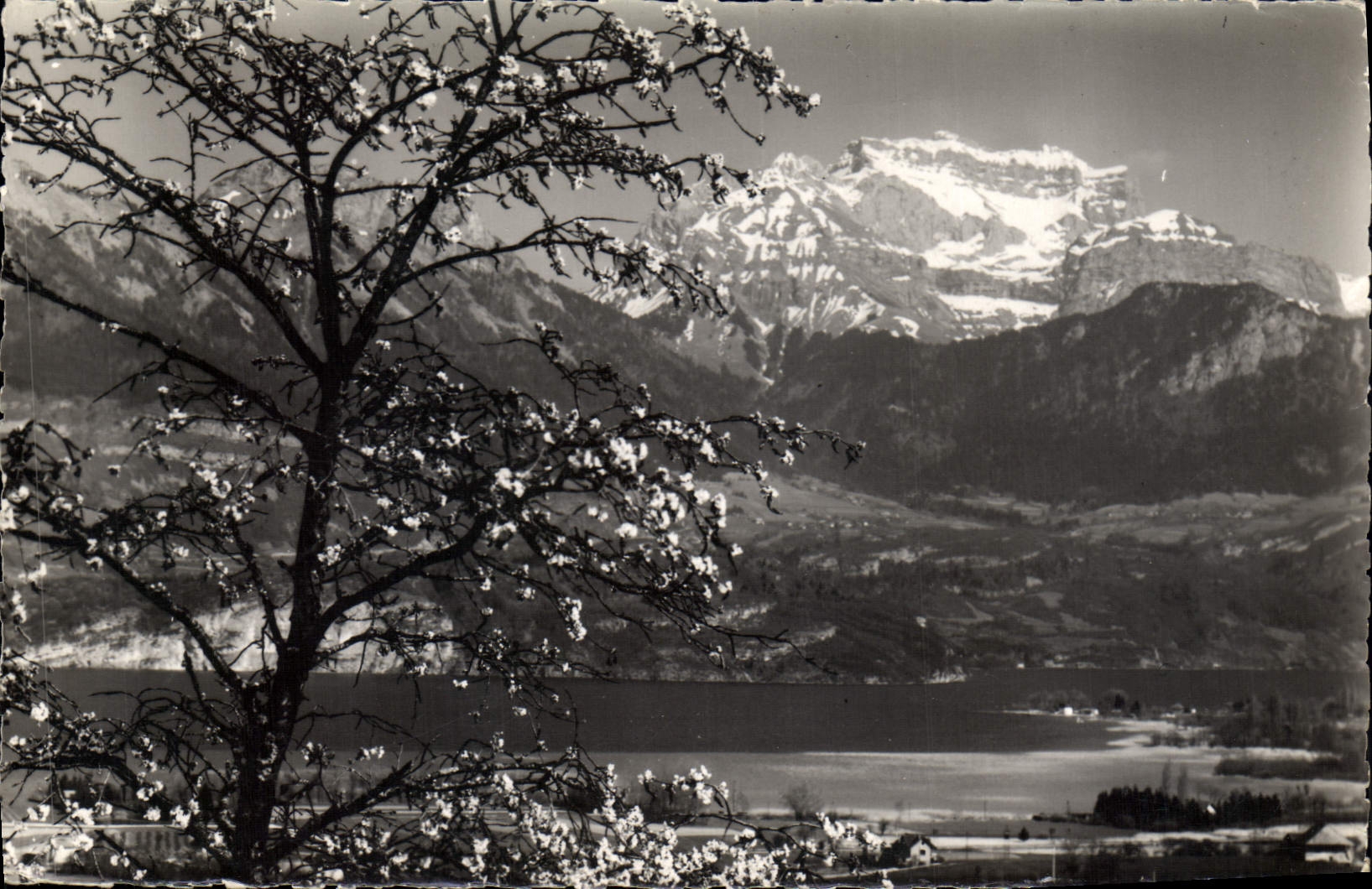 CPA Y'a des chansons dans l'air (Toutnette et Lac d'Annecy)