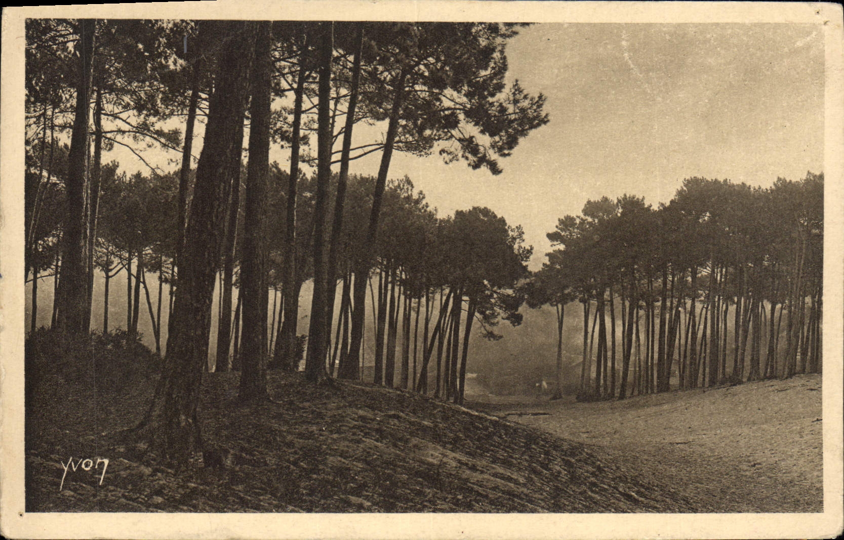 CPA Arcachon Les grandes Dunes de la Ville d'Hiver