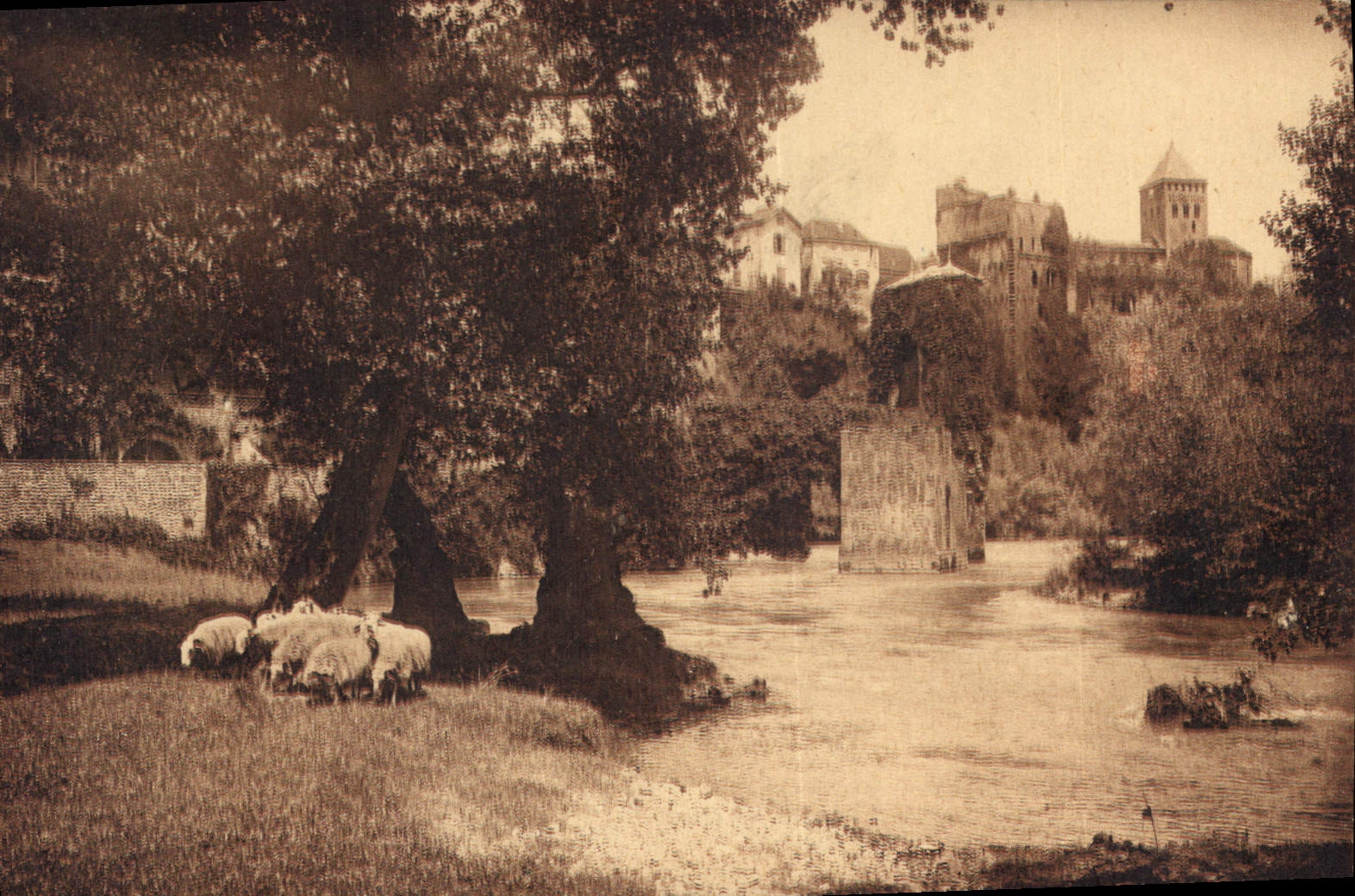 CPA Les Beaux Sites des Basses Pyrenees Au Bord du Gare a Sauveterre de Bearn