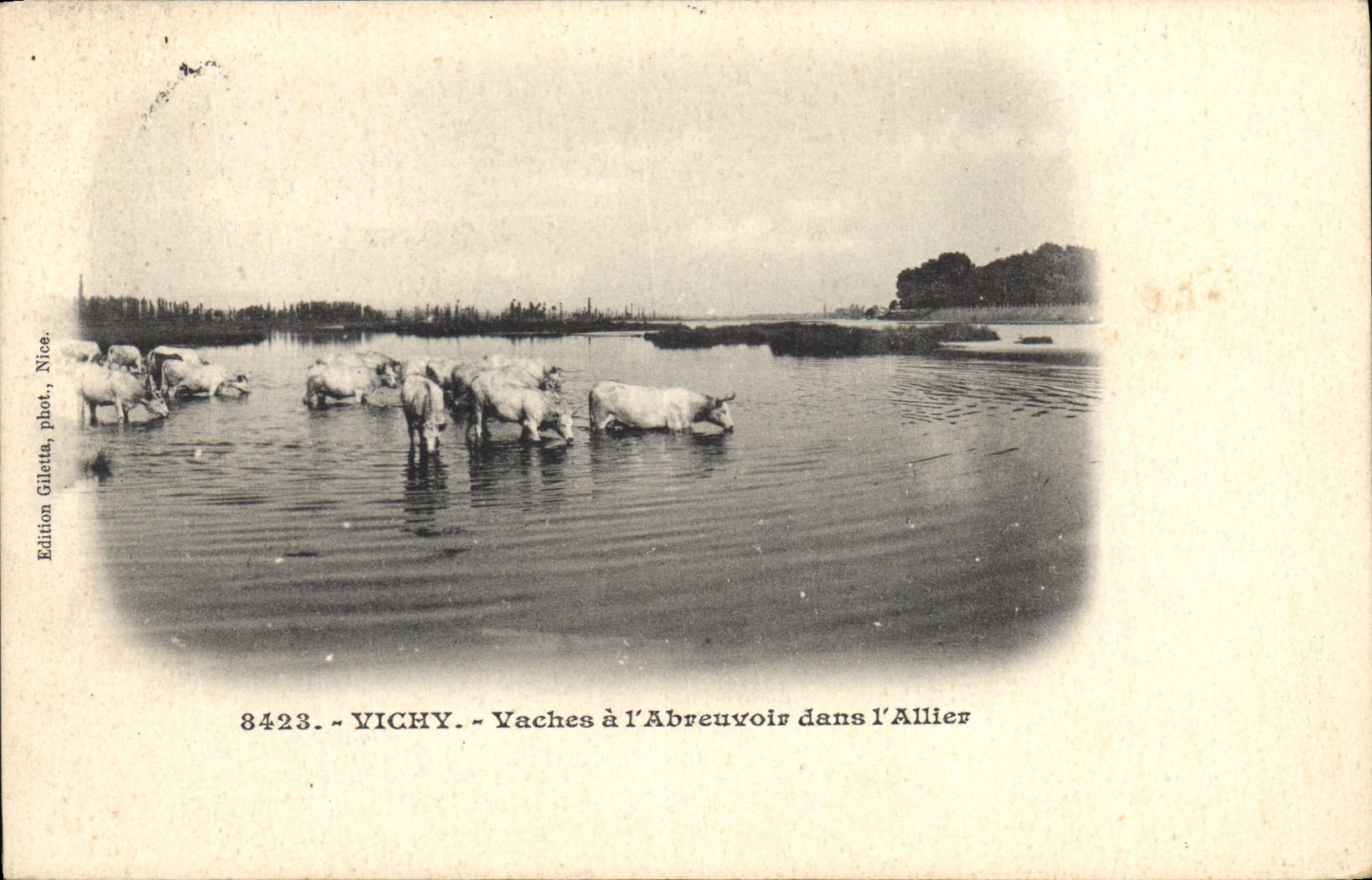 CPA Vichy Vaches a l'Abreuvoir dans l'Allier Bœufs Vaches