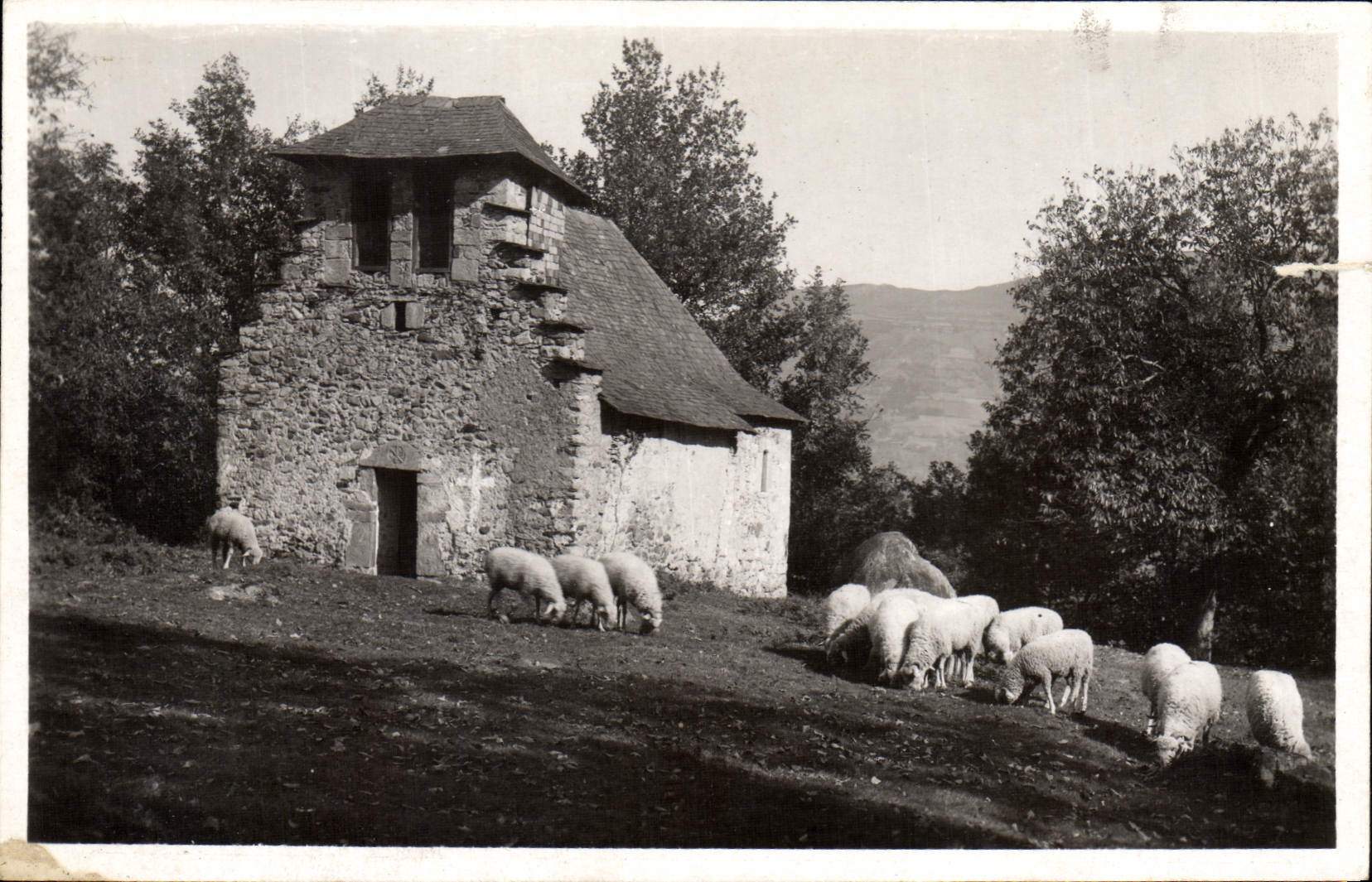CPM Arceles Chapelle Notre Dame de Castere Moutons