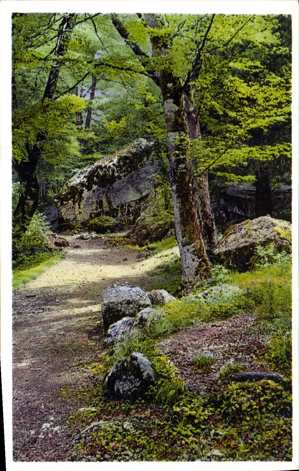 CPA Hotellerie de la Sainte Baume St Zacharie (Var)