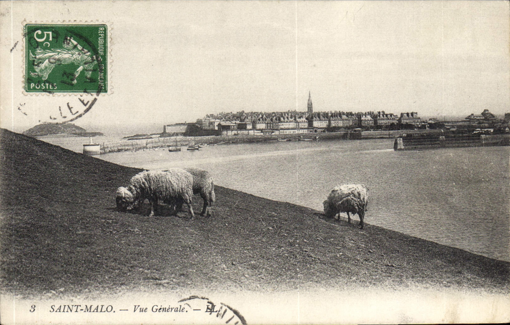 CPA Saint Malo Vue Generale Moutons