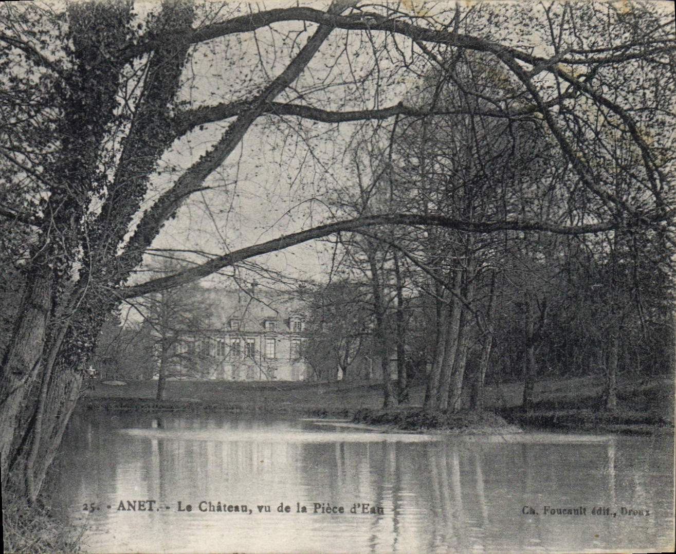 CPA Anet Le Chateau vu de la Piece d'Eau 