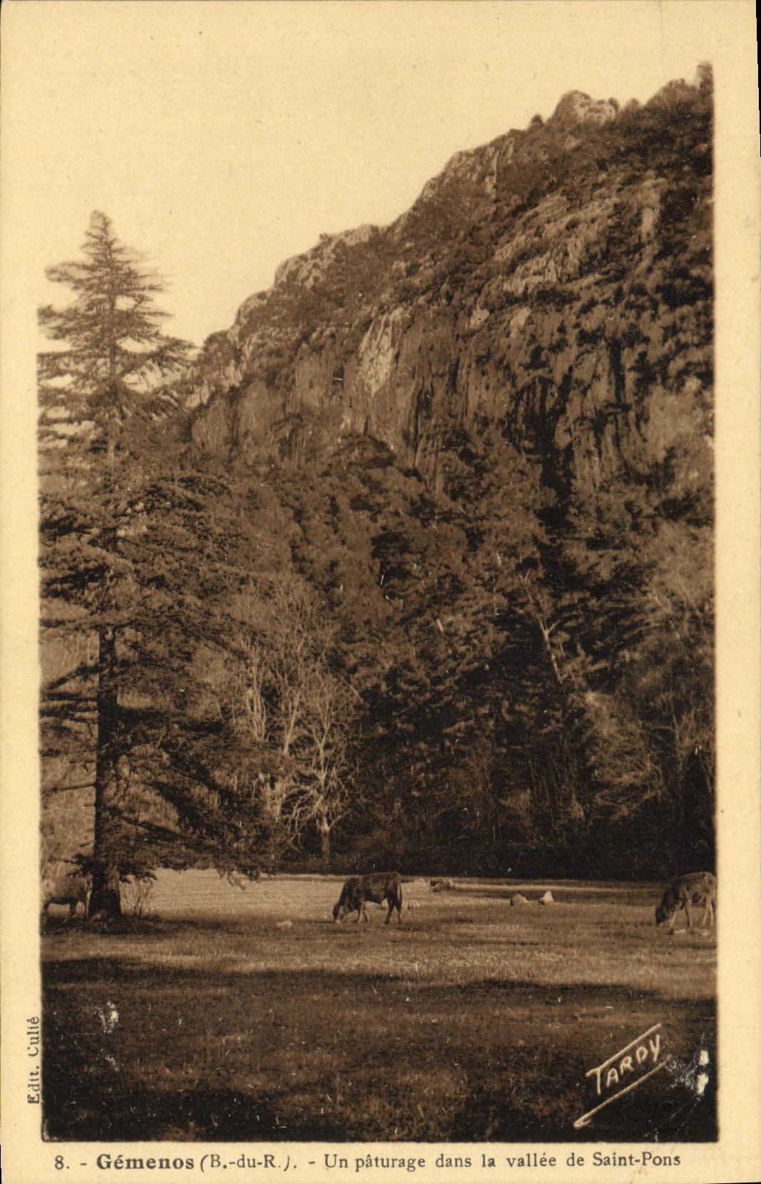 CPA Gemenos B du R Un paturage dans la vallee de Saint Pons