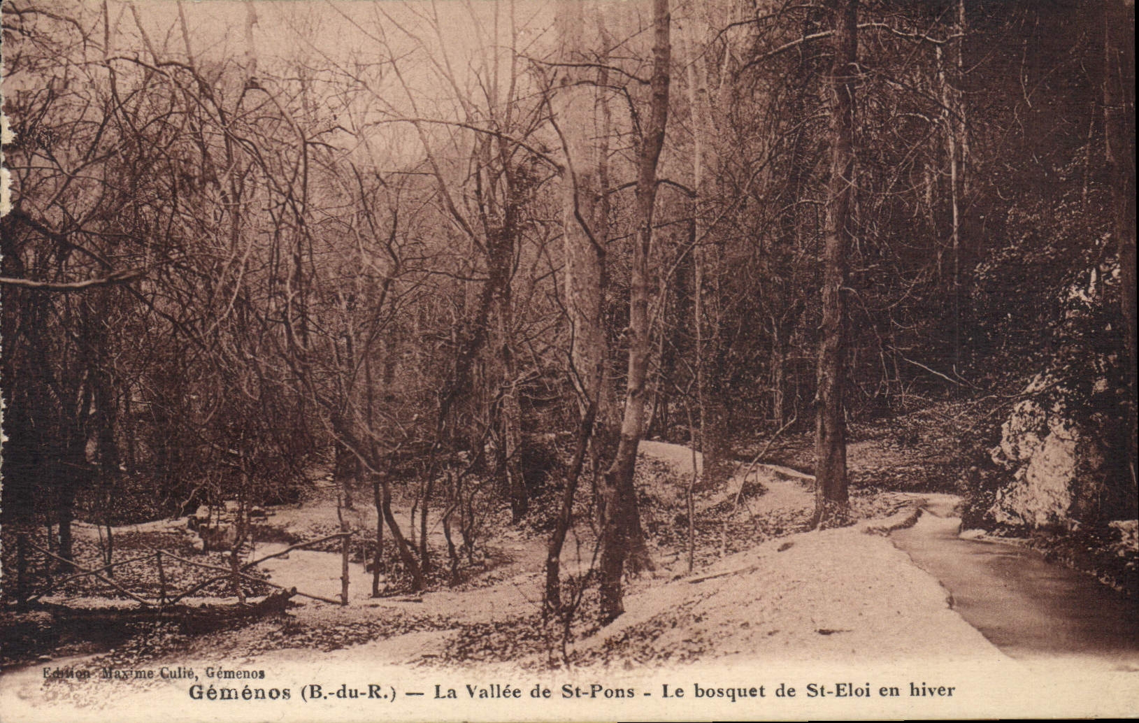 CPA Gemenos B du R La Vallee de St Pons Le bosquet de St Eloi en hiver 