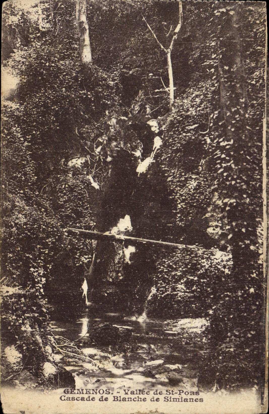CPA Gemenos Vallee de St Pons Cascade de Blanche de Simianes 
