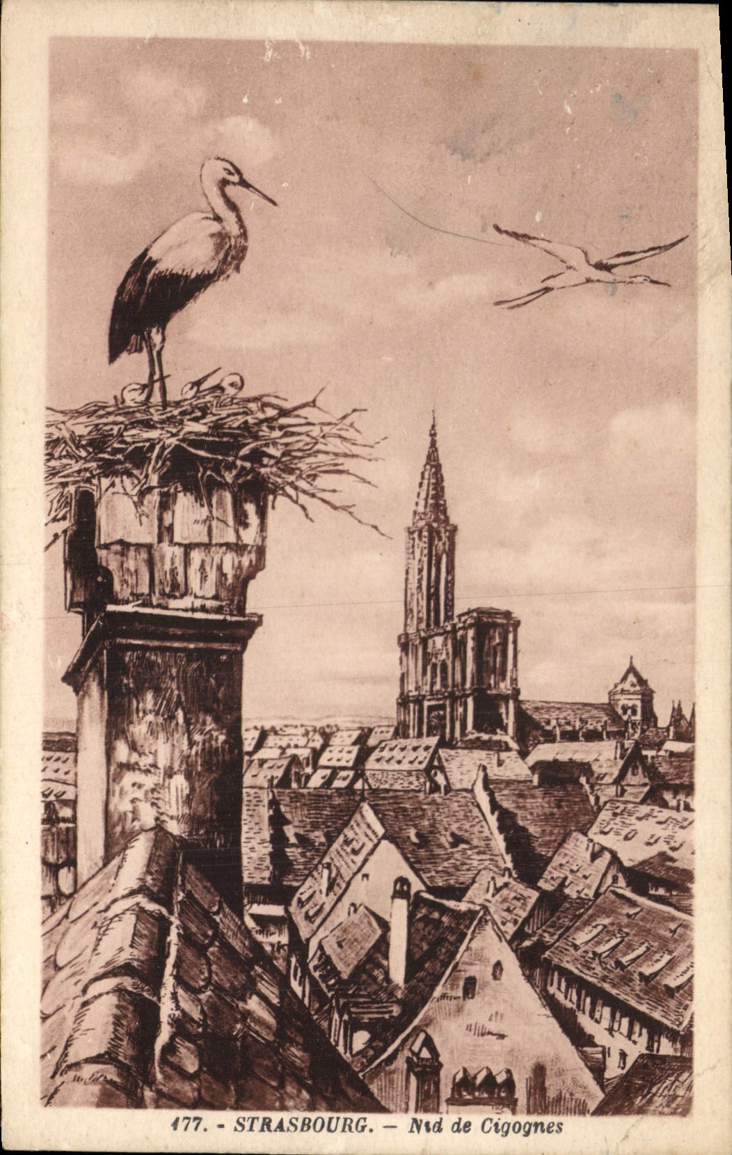 CPA Strasbourg ND de Cigognes 