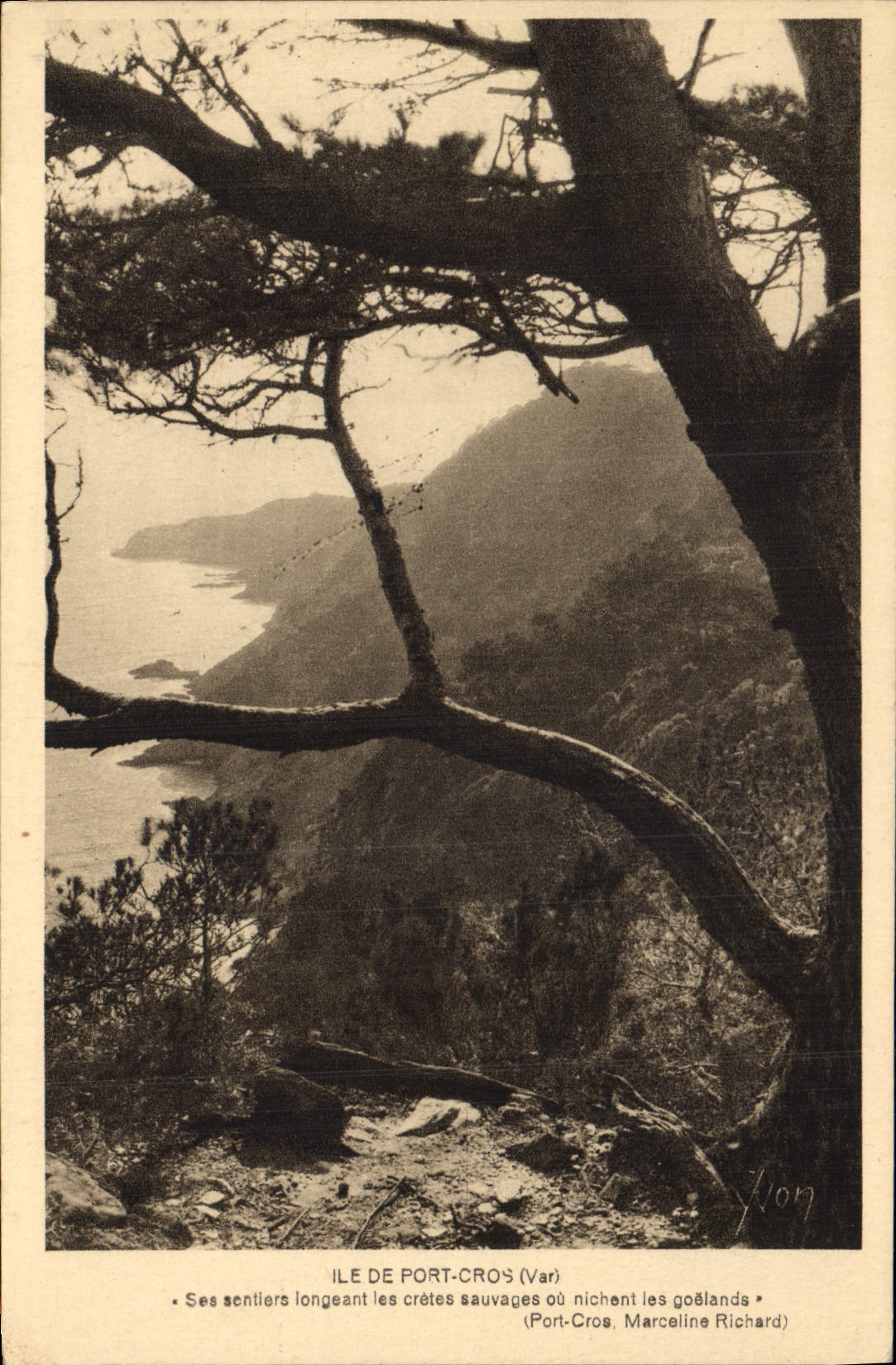 CPA Ile de Port Cros Var Ses sentiore longeant les cretes sauvages ou nichant les goelands