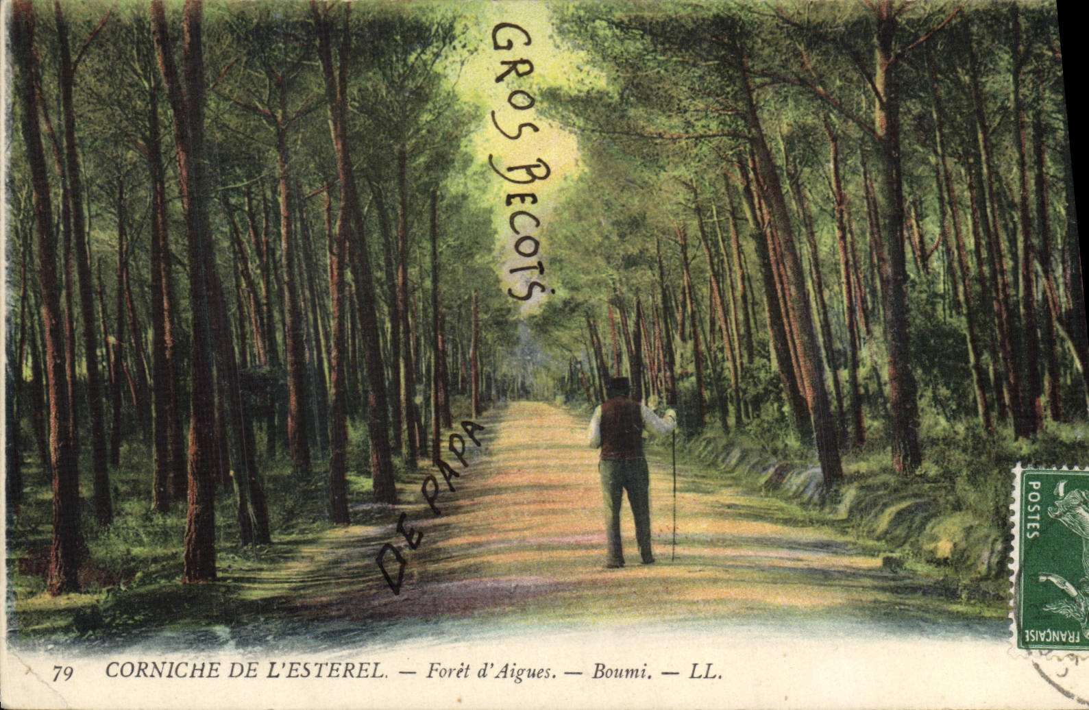 CPA Corniche de L'Esterel Foret d'Aigues Boumi