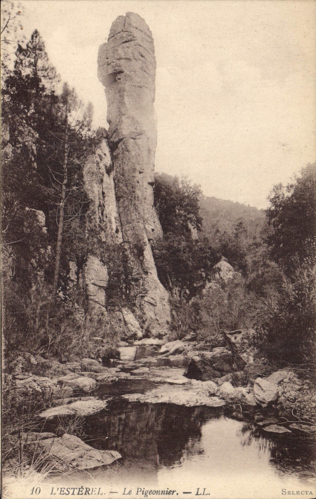 CPA L'Esterel Le Pigeonnier 