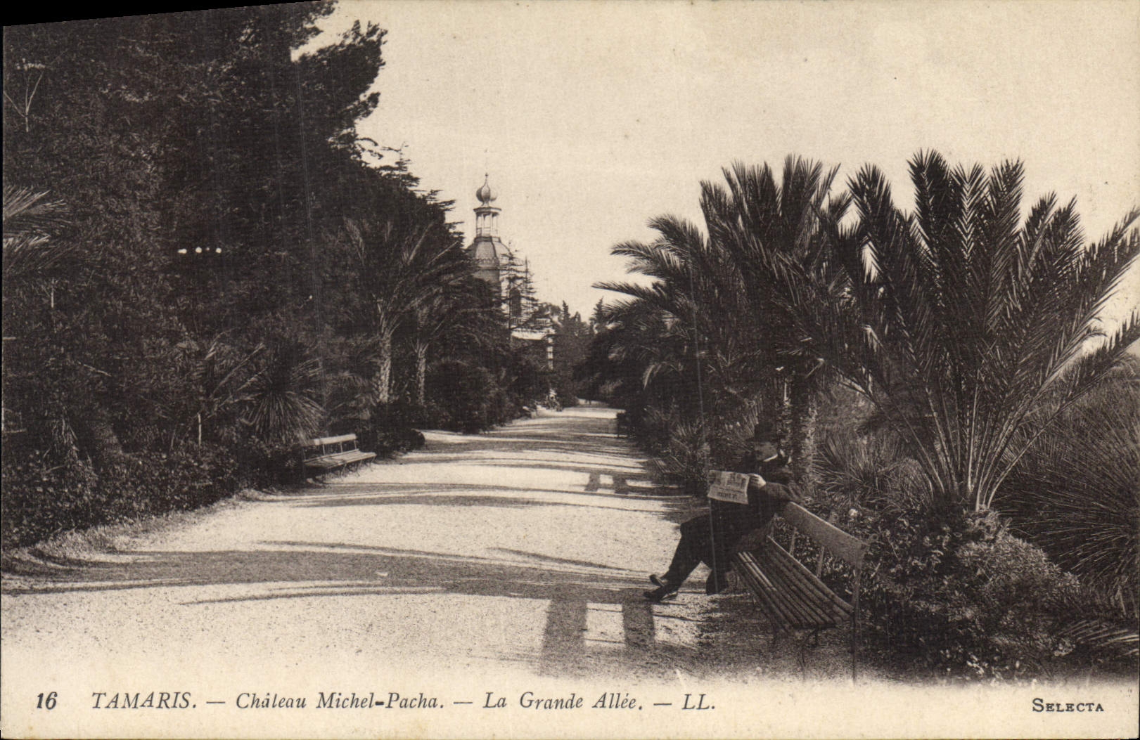 CPA Tamaris Chateau Michel Pacha La Grande Allee