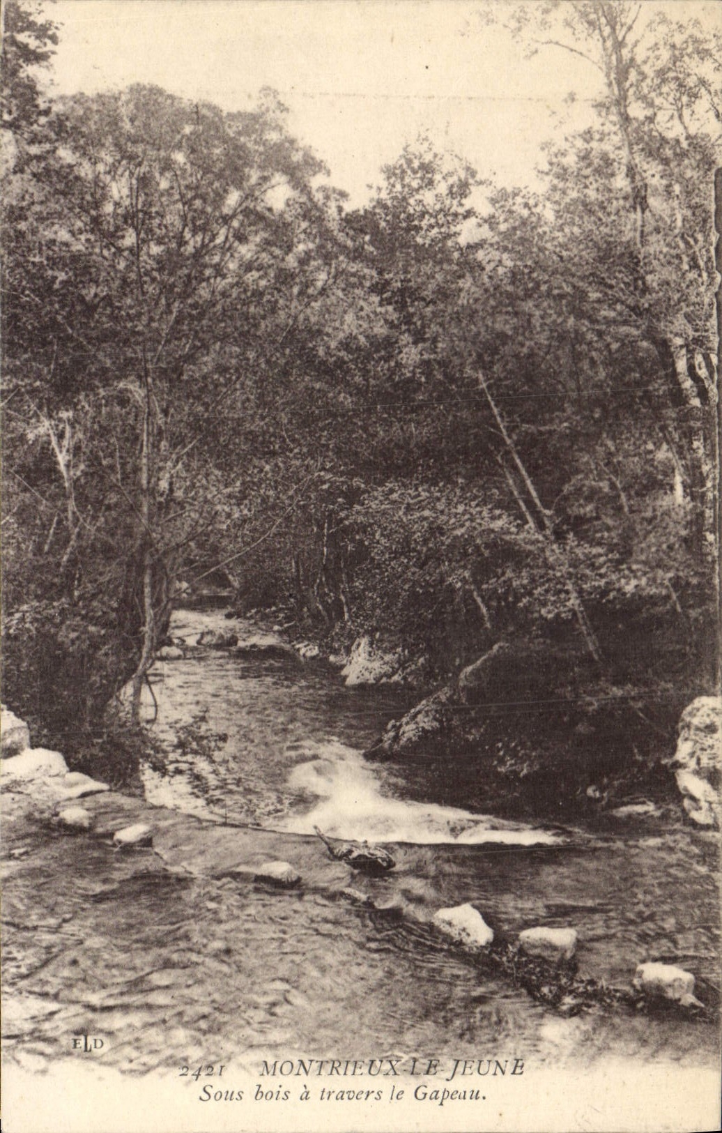 CPA Montrieux le Jeune Sous bois a travers le Gapeau 