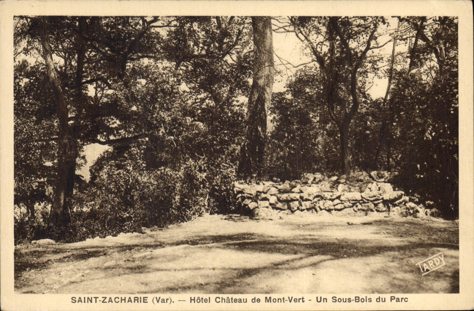 CPA Saint Zacharie Var Hotel Chateau de Mont Vert Un Sous Bois du Parc