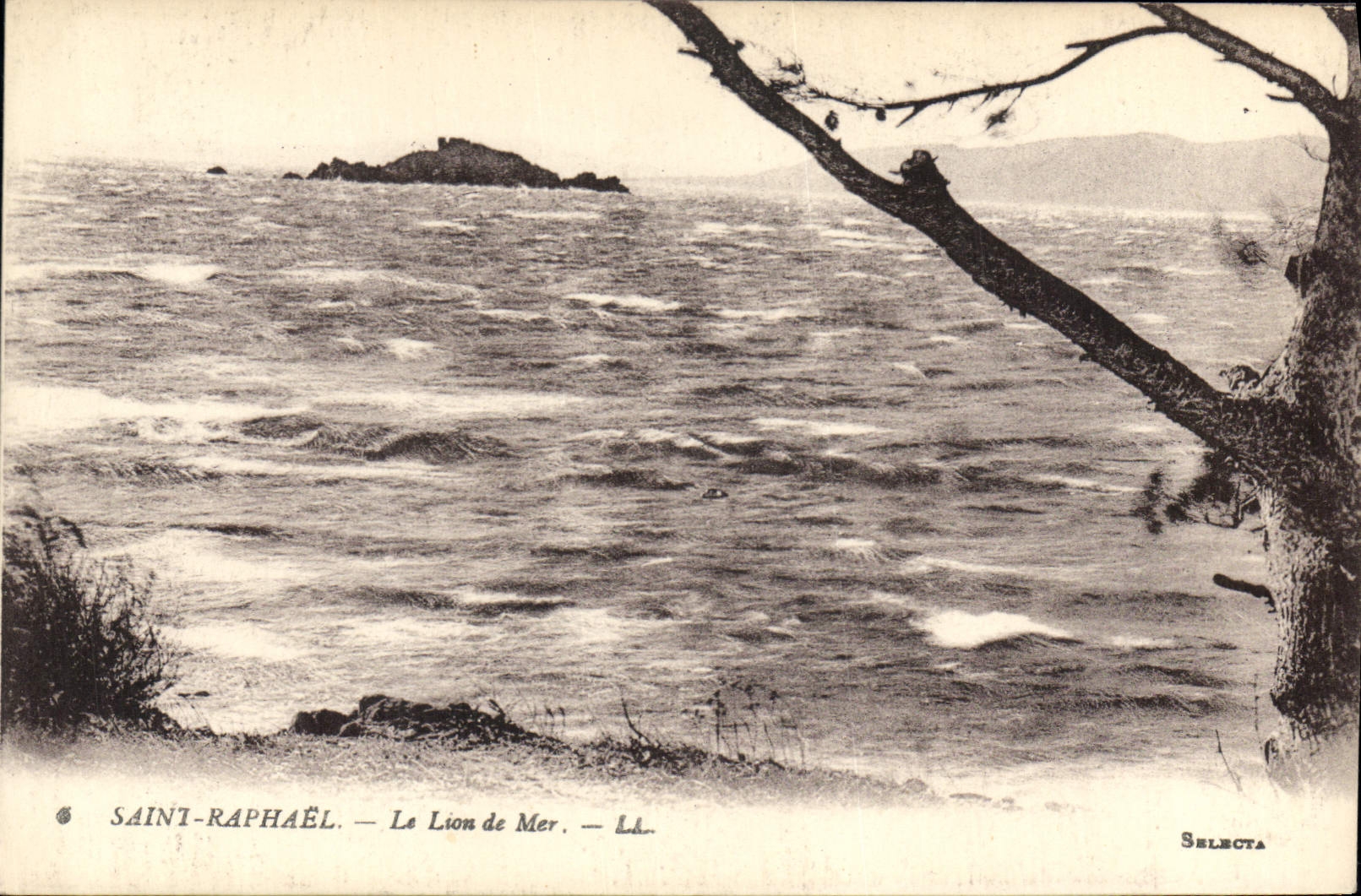 CPA Saint Raphael Le Lion de Mer 