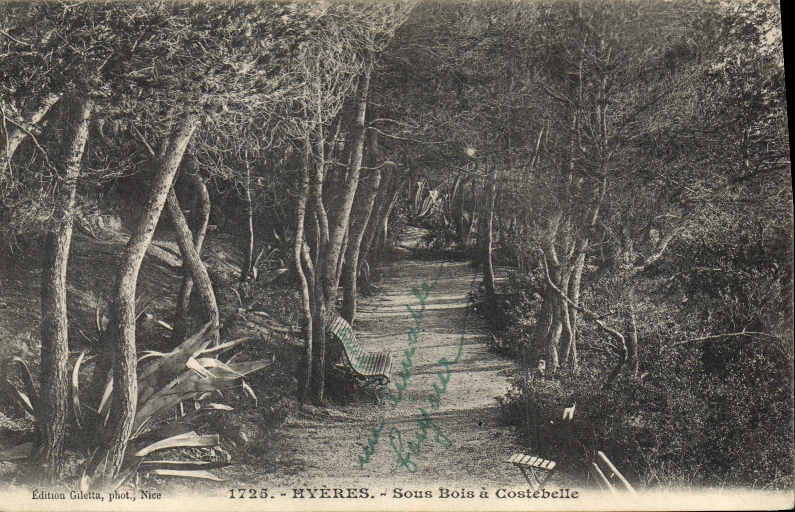 CPA Hyeres Sous Bos a Costebelle 