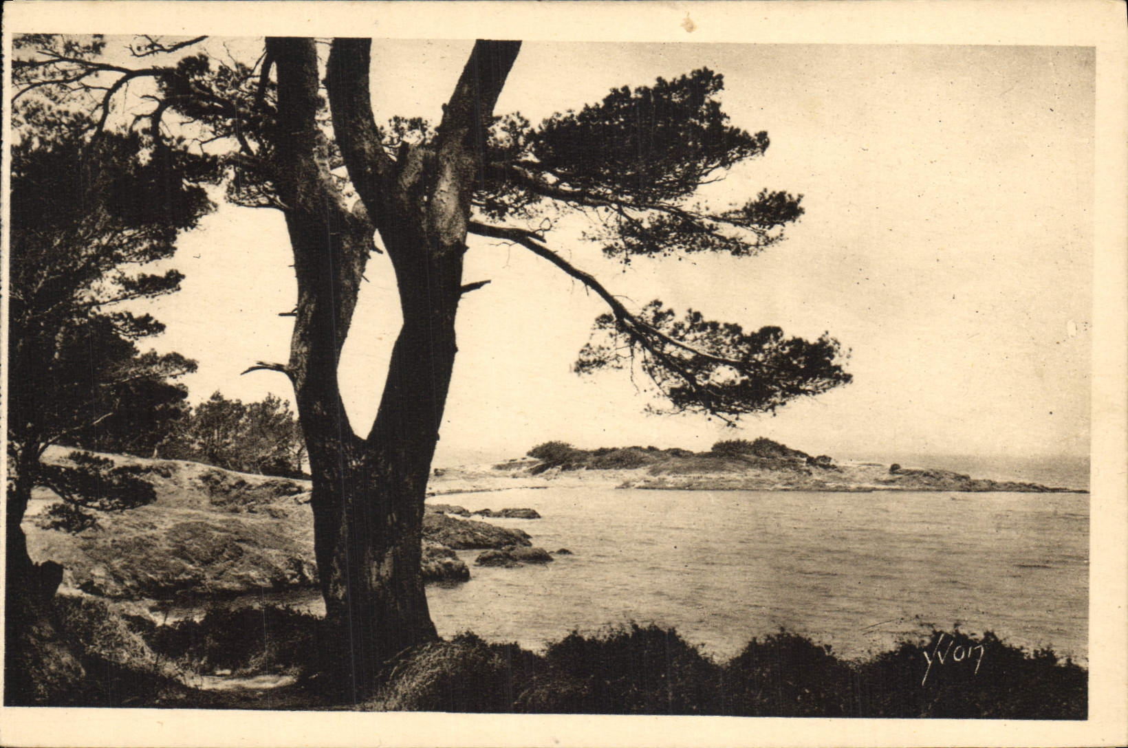 CPA Cote d'Azur Les Iles d'Hyeres Var Porquerolles Bord de Mer 